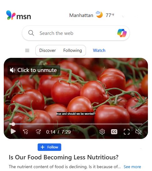MSN Italy Food