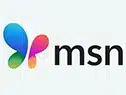 MSN gray2
